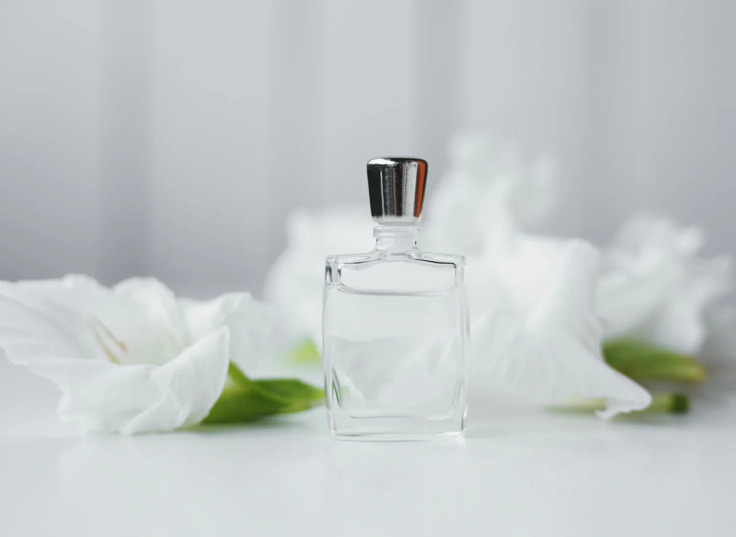 Top 5 Timeless & Classic Fragrances