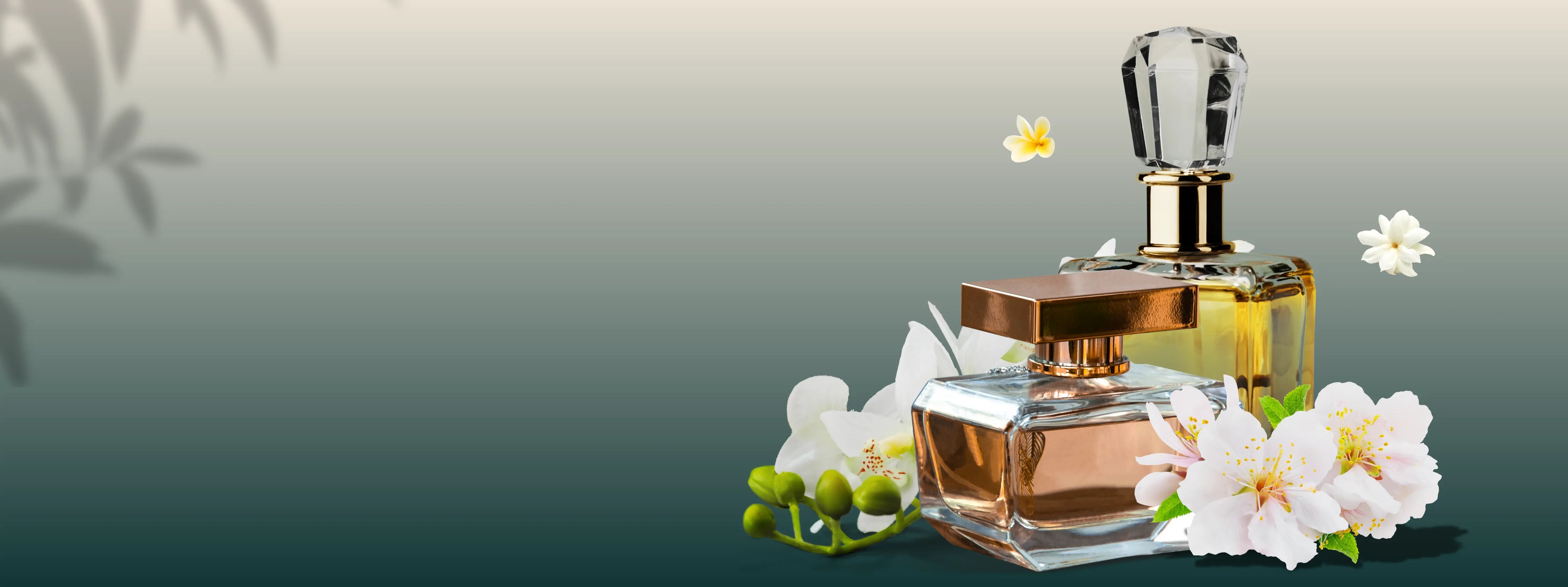 slider image 1621243260e1af0c20-0